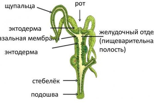 Кракен маркет только через тор скачать