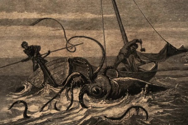Kraken 19 at