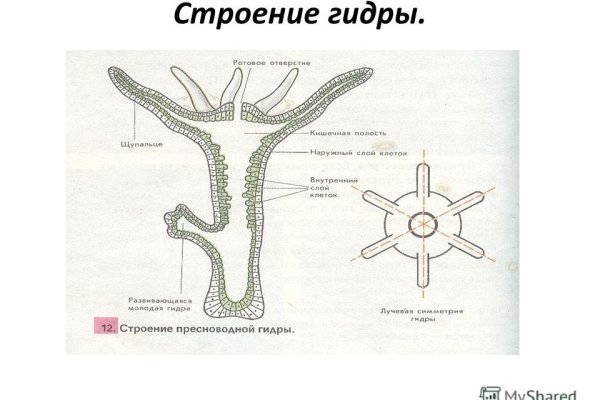 Где брать ссылки на кракен