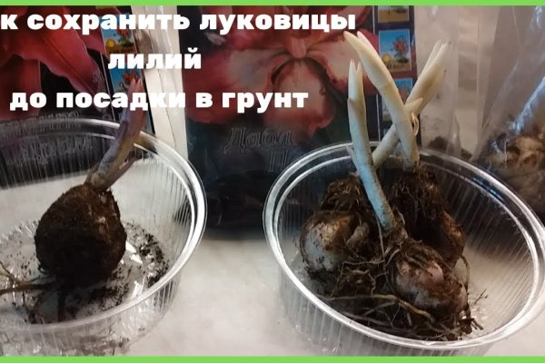 Кракен ссылка fo feng crmp ru