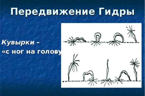 Kraken официальная ссылка