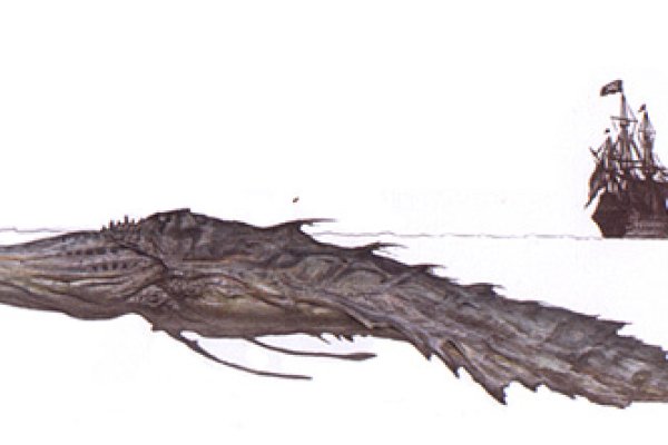 Kraken 19 at