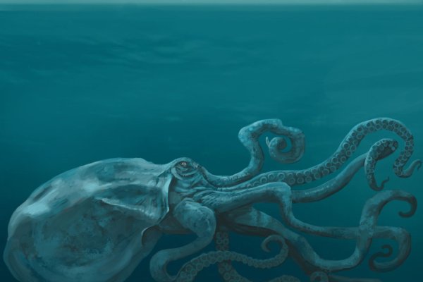 Кракен наркоплейс