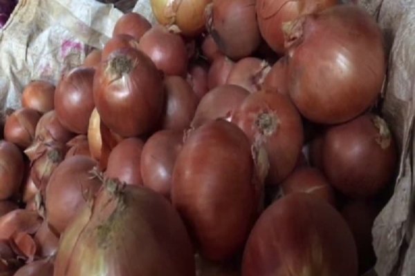 Кракен настоящий сайт