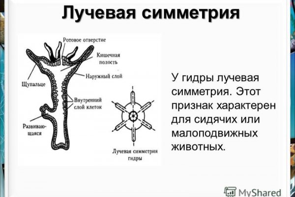 Кракен без тор